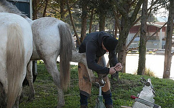 maréchal-ferrant, une personne qui s'occupe des sabots des chevaux. L'homme est vu en train de poser un fer sur le sabot d'un cheval. Il est vêtu d'un sweat à capuche noir, d'un pantalon en cuir et de bottes de travail. En arrière-plan, on voit un autre cheval, et la scène se déroule en extérieur, entourée de plusieurs arbres, avec un fond où des bâtiments peuvent être aperçus.