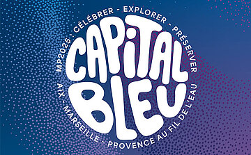 infographie : capital bleu