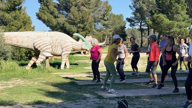 LEs membres d'Istres Gym Volontaire s'échauffent en musique au parc Dinbosaur'Istres