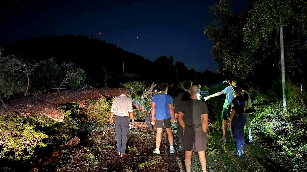 Photo de nuit où l'on voit des arbres et branches au sol