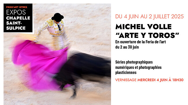 michel volle arte y toros texte + photo de tareau noir + toréro avec cape rose 