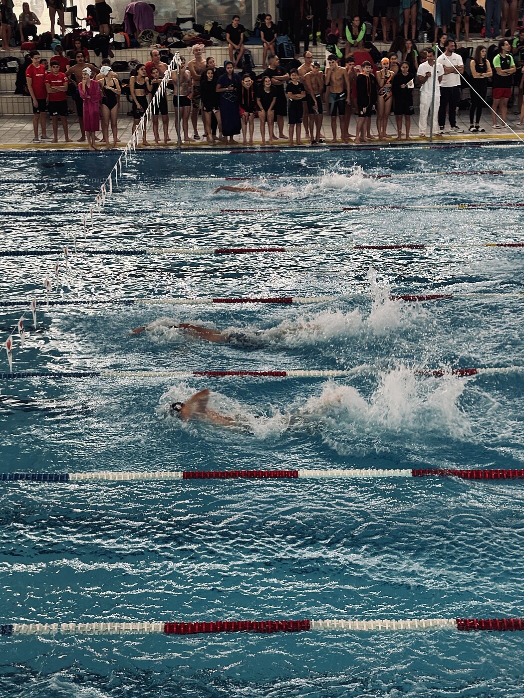 Compétition de natation