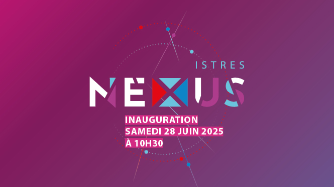Infographie : nuance violet nexus 