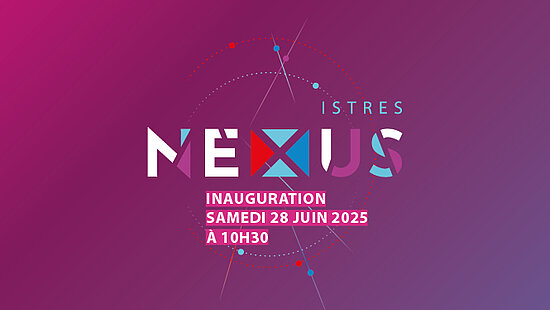 Infographie : nuance violet nexus 