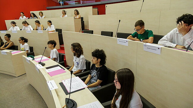 Les jeunes dans l'hémicycle