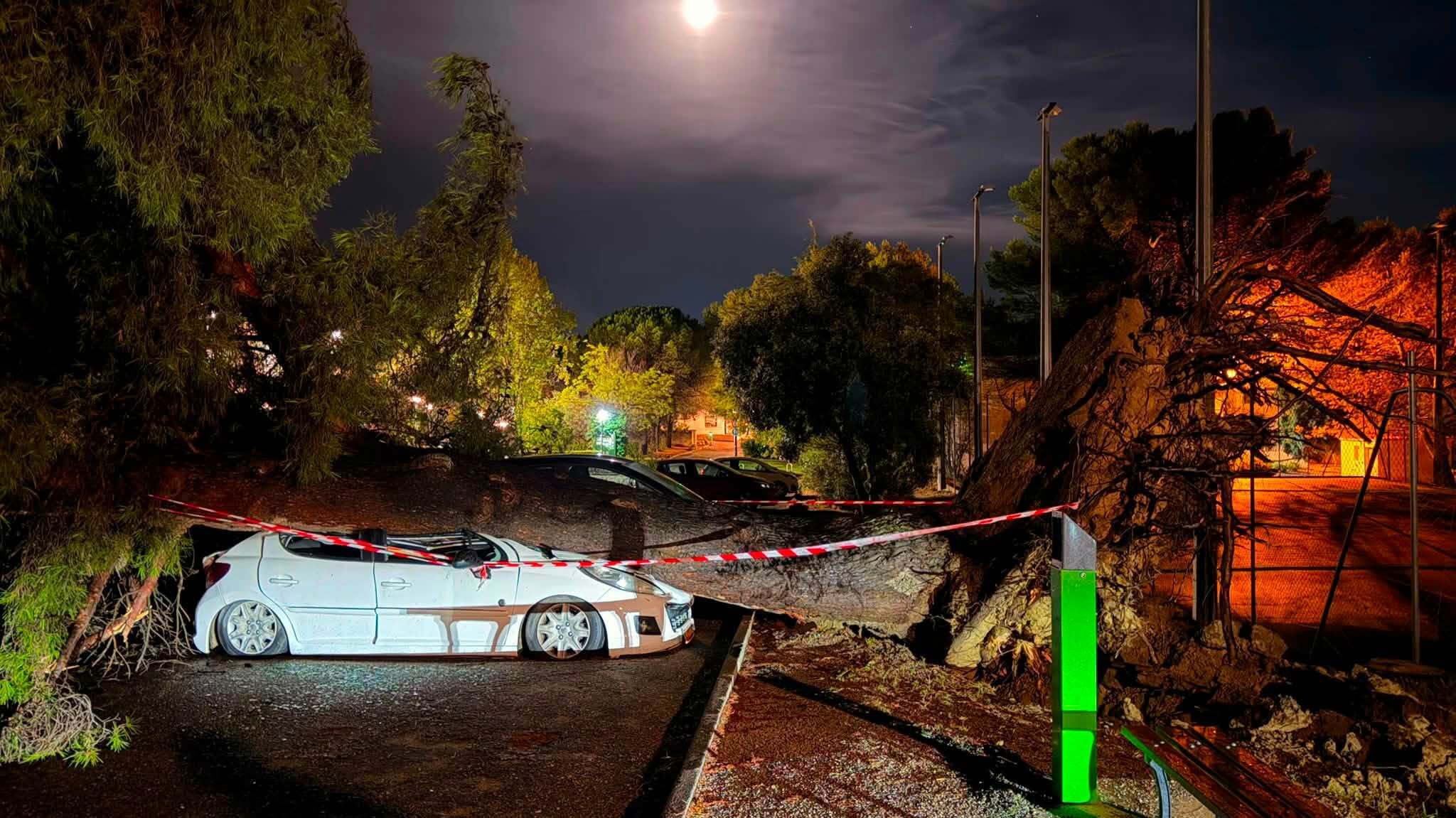 Photo de nuit où l'on voit une voiture blanche écrasée par un arbre