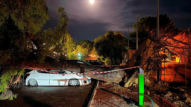 Photo de nuit où l'on voit une voiture blanche écrasée par un arbre