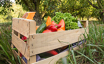 photo de panier primeur - cagette en bois et légumes poivrons tomates 
