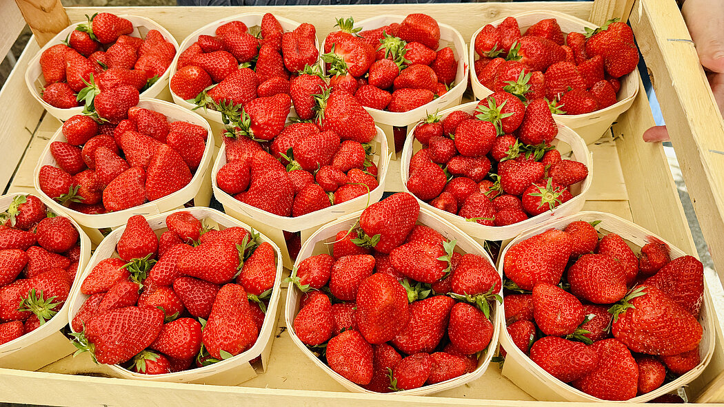 photo de paniers de fraises