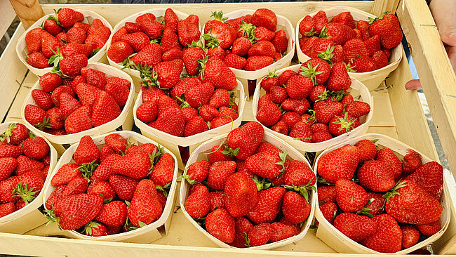 photo de paniers de fraises