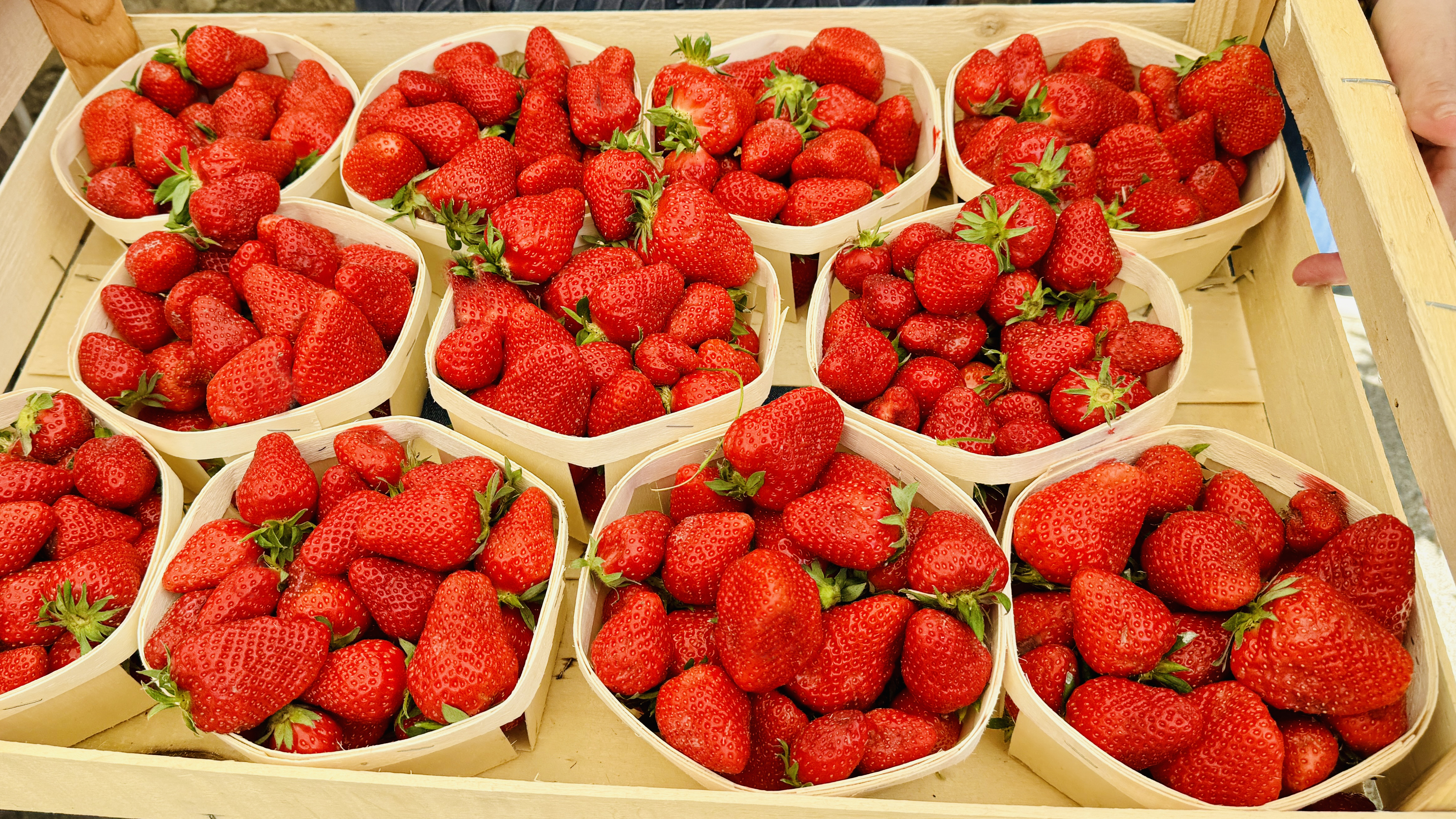 photo de paniers de fraises