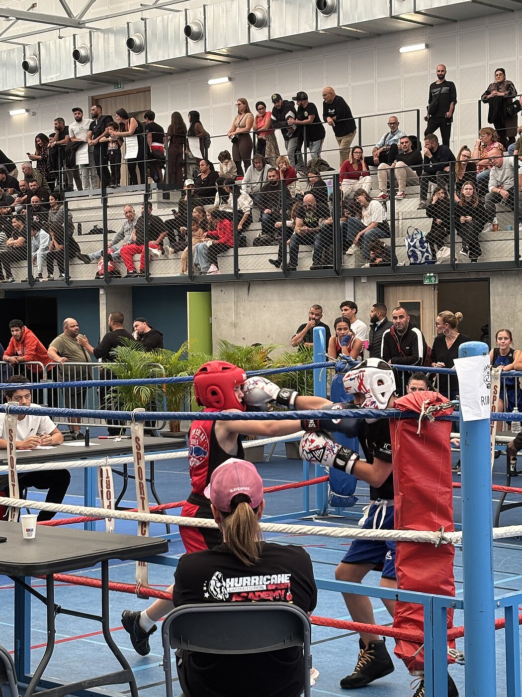 Des enfants bosent dans un ring