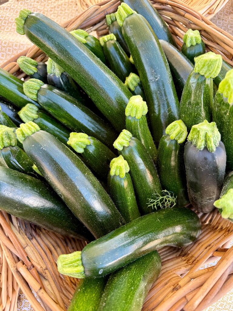 photo courgettes 