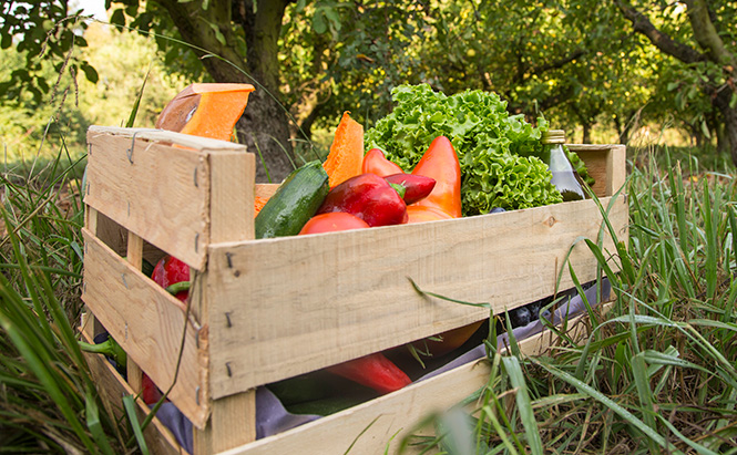 photo de panier primeur - cagette en bois et légumes poivrons tomates 