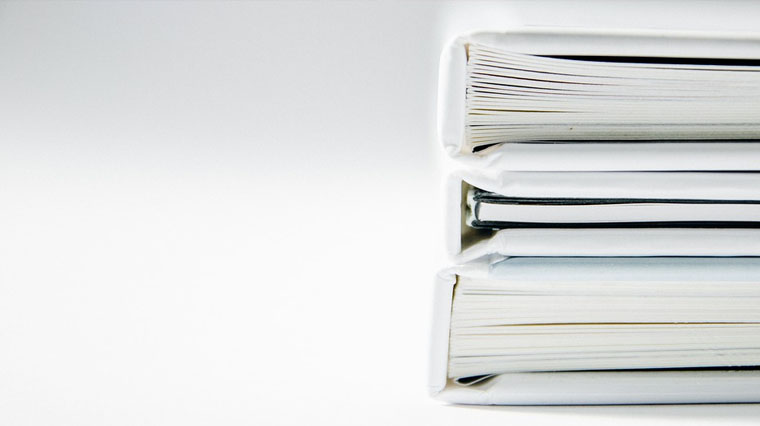 COMPTES RENDUS DES COMMISSIONS 